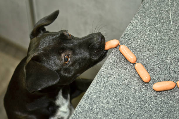 Sausages and Strips