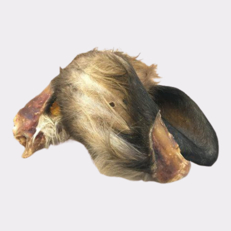 Cow's Ears (Hairy)