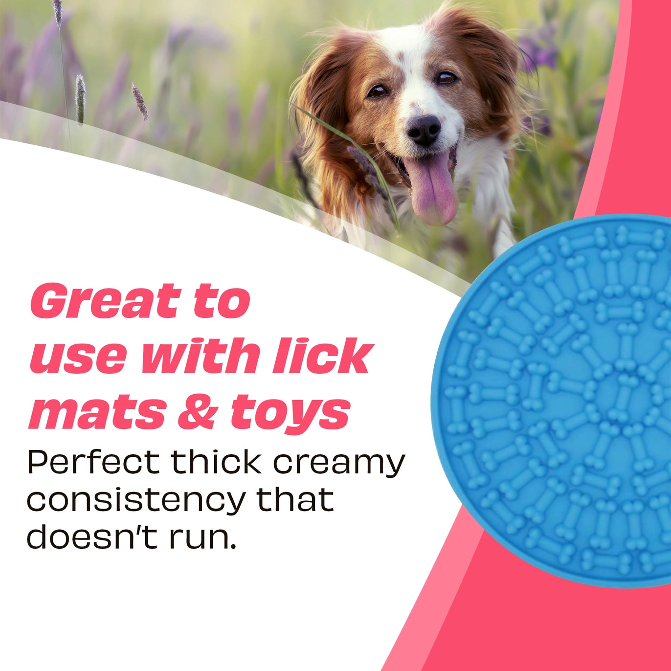 Peanut Butter - Strawberry & Pumpkin