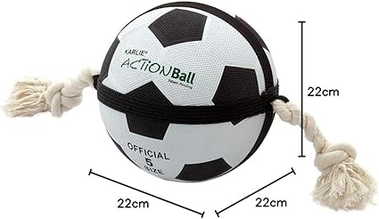 Actionball Football