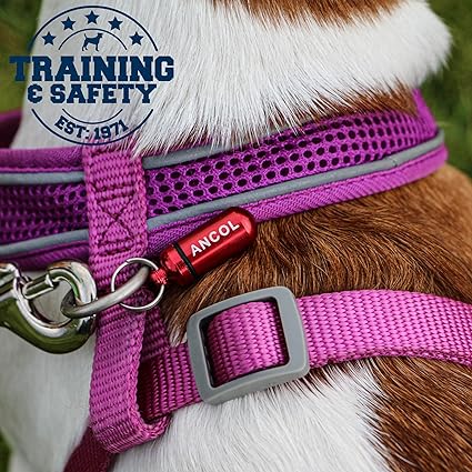 Anchol Dog ID Tubes