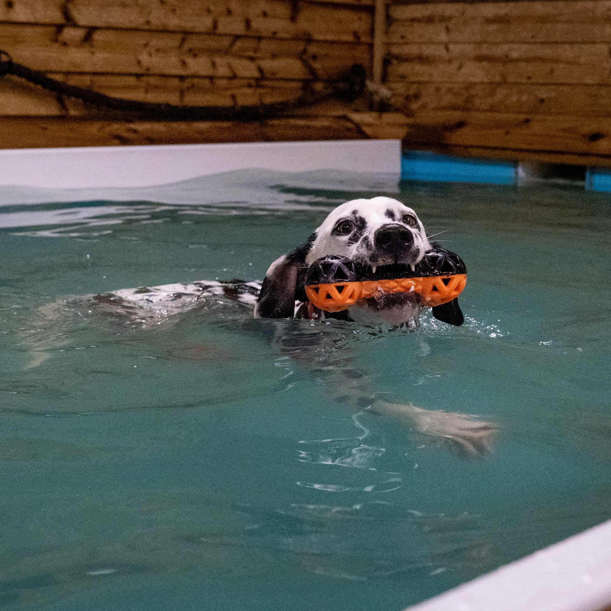 Extreme Floating Dumbbell