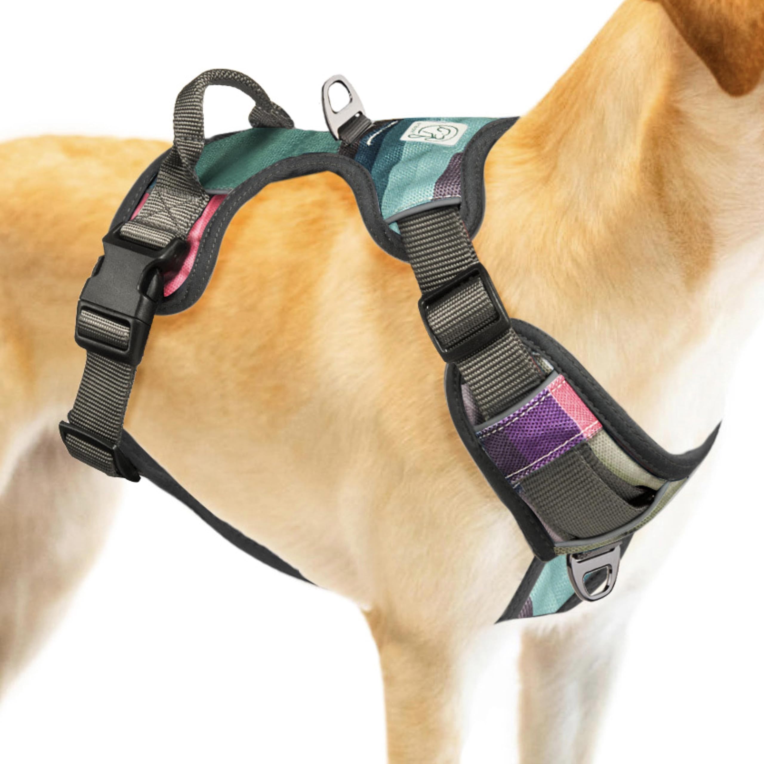 Embark Urban Harness