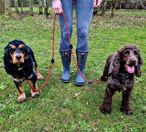 Long Paws Multi-Function Rope Training Lead