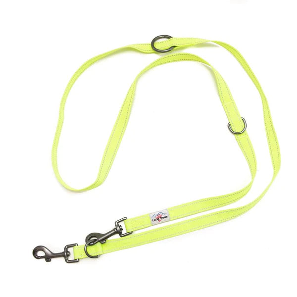 Long Paws Reflective Training Lead