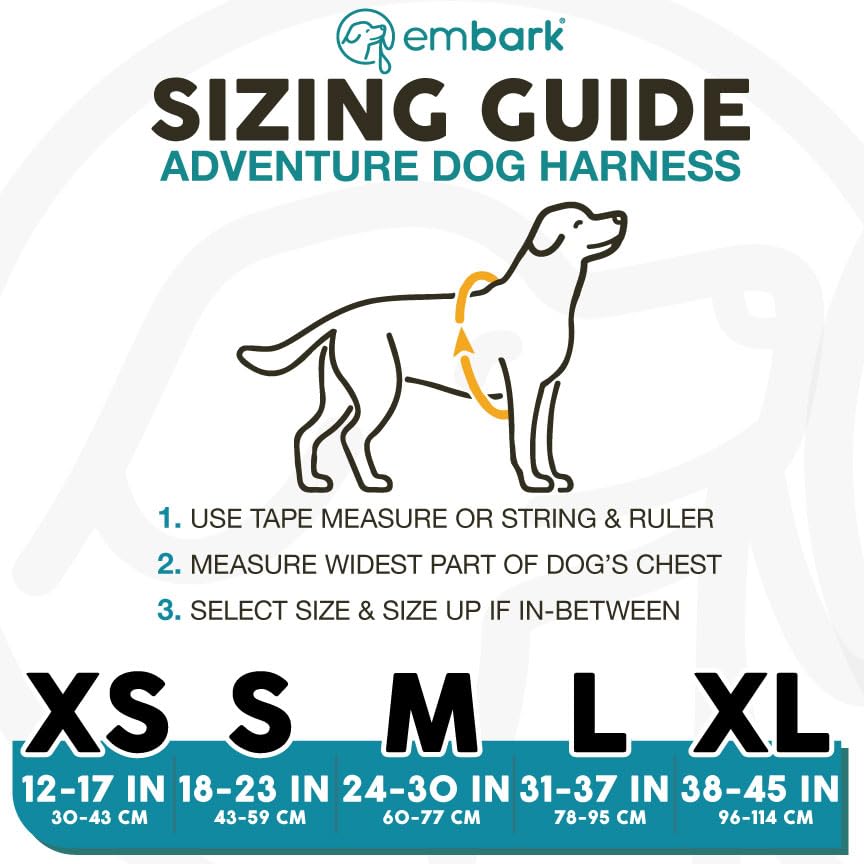 Embark Adventure Harness