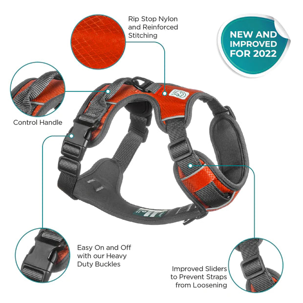 Embark Adventure Harness