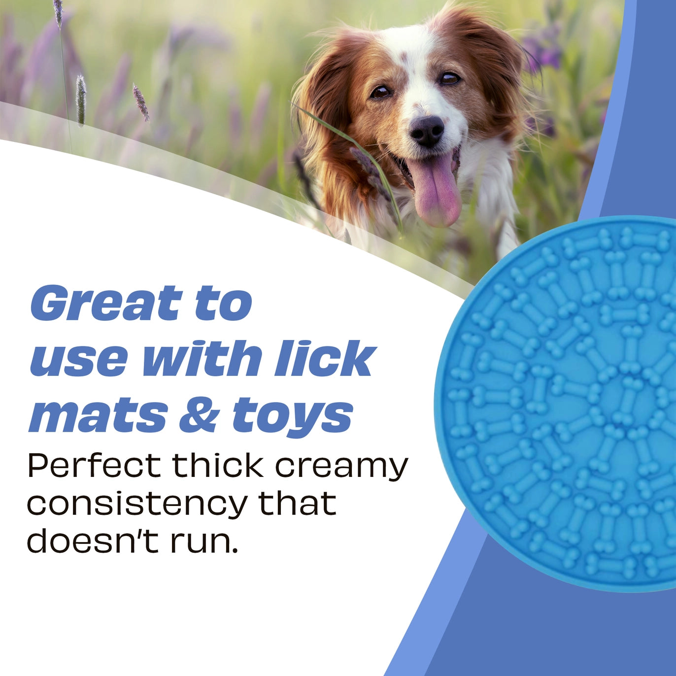 Peanut Butter - Blueberry & Hemp