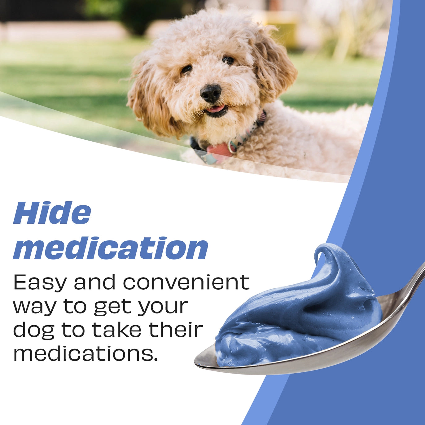 Peanut Butter - Blueberry & Hemp