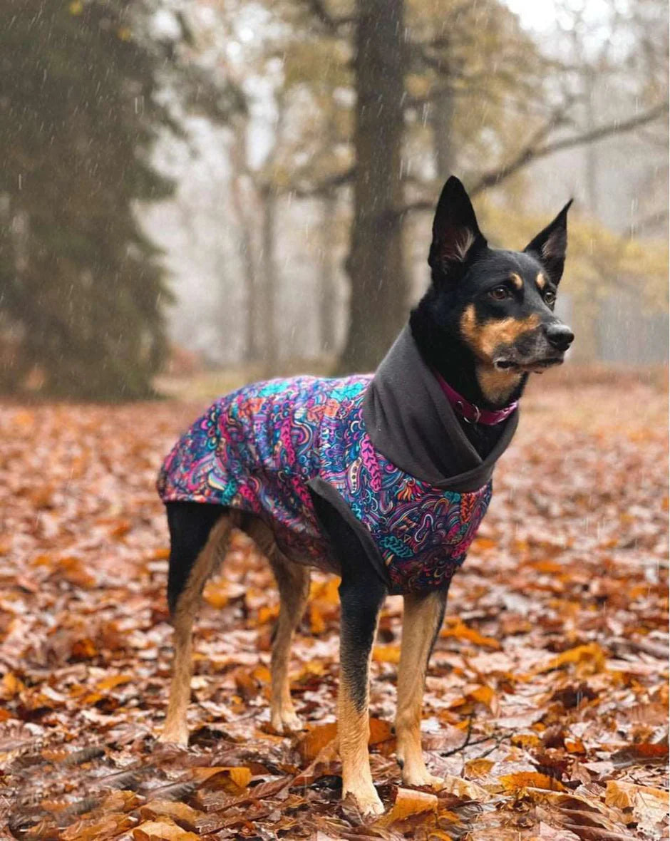 Glenndarcy Bohemian McTog - Microfleece Waterproof Dog Jumper