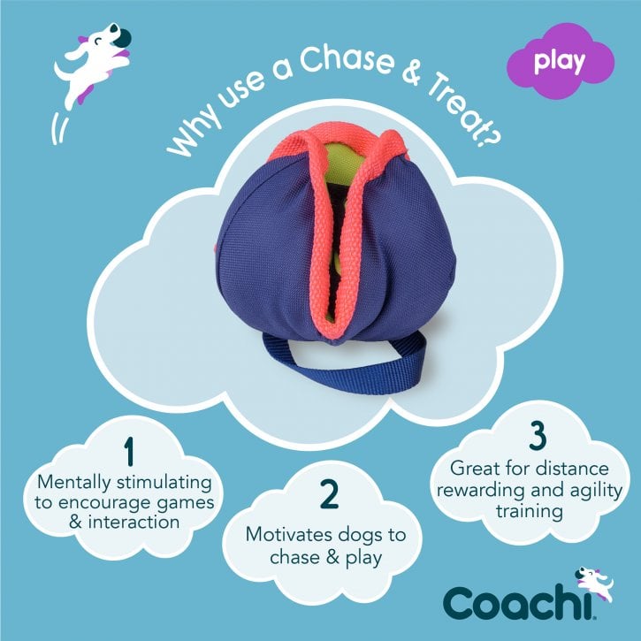 Coachi Chase & Treat