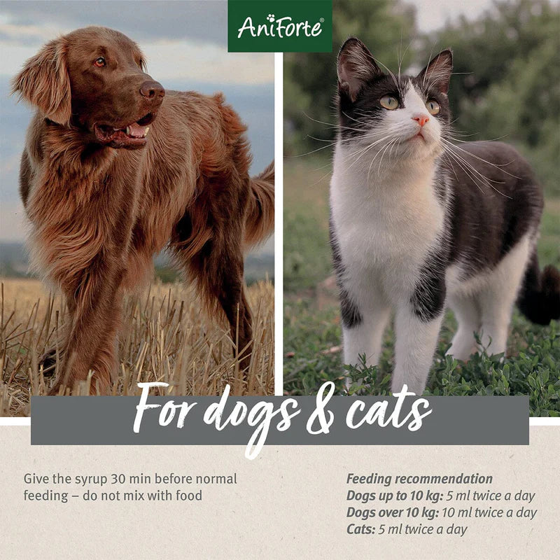 Aniforte - Slippery Elm Bark