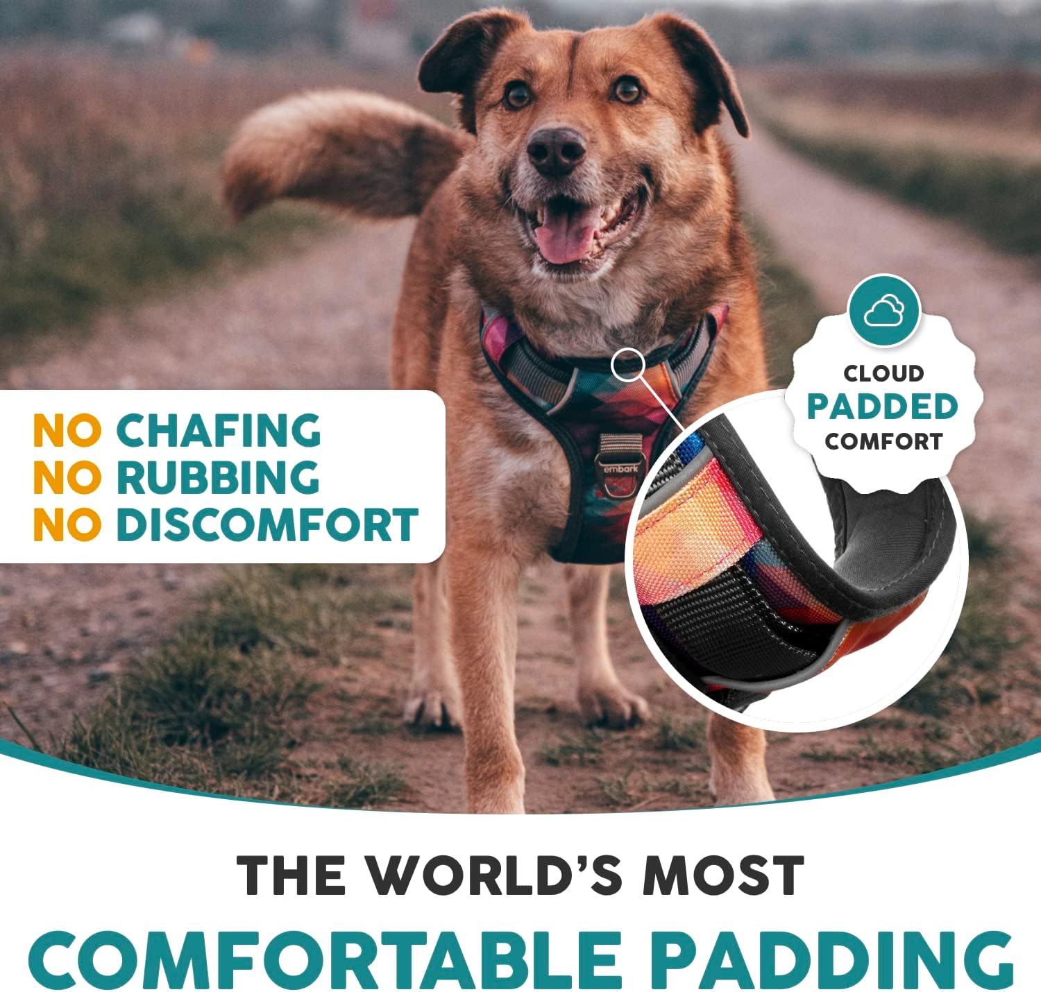 Embark Urban Harness