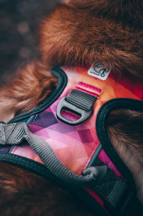 Embark Urban Harness