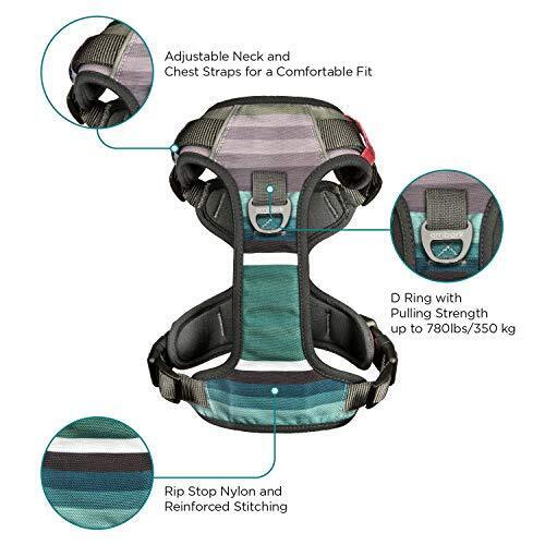 Embark Urban Harness