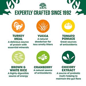 James Wellbeloved Turkey Kitten Food