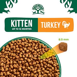 James Wellbeloved Turkey Kitten Food