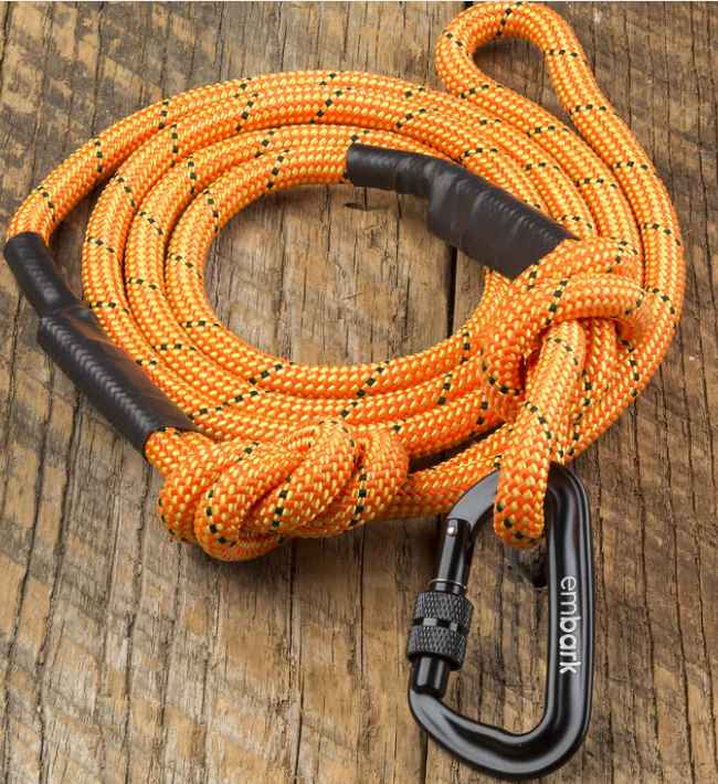 Embark Sierra Leash