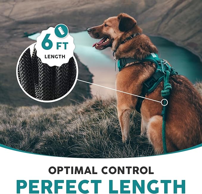Embark Sierra Leash