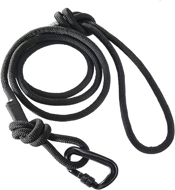 Embark Sierra Leash